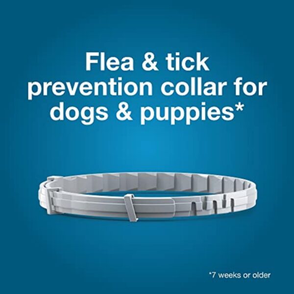 Seresto Flea & Tick Collar for Large Dogs Over 18 lbs – 8 Month Protection – Vet-Recommended Treatment & Prevention - Image 4