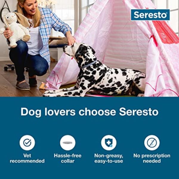 Seresto Flea & Tick Collar for Large Dogs Over 18 lbs – 8 Month Protection – Vet-Recommended Treatment & Prevention - Image 9